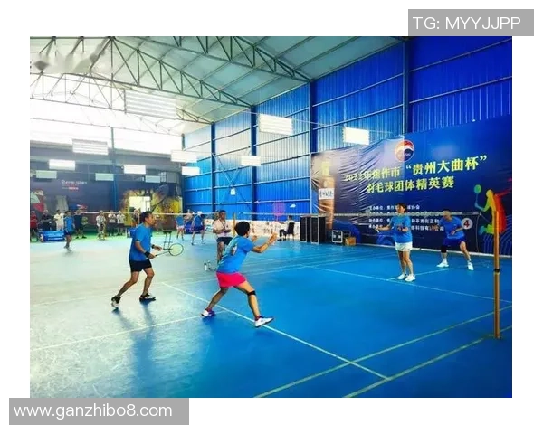 成都羽毛球队在精英赛中的实力展现与未来发展潜力分析